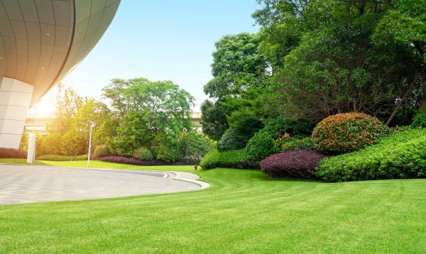 Commercial Shrub Trimming in Chillicothe
