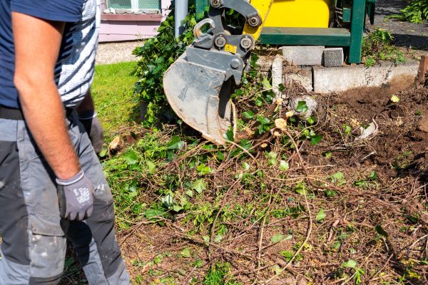 Hedge Removal Service in Chillicothe