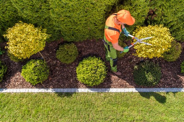 Cost of Topiary Trimming in Chillicothe