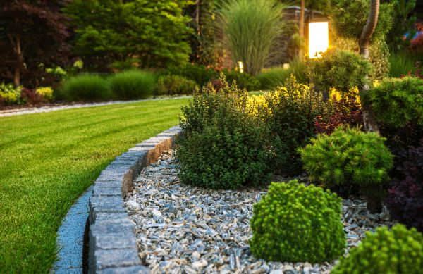 Cost of Bush Relocation in Chillicothe