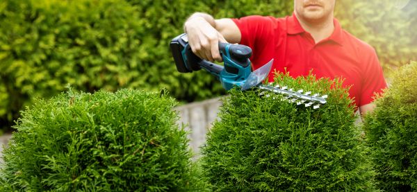 Cost of Hedge Shaping Service in Chillicothe
