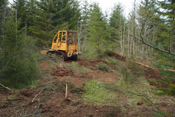 Cost of Shrubbery Clearing in Chillicothe